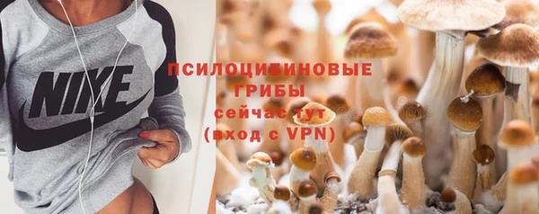прущая мука Сафоново